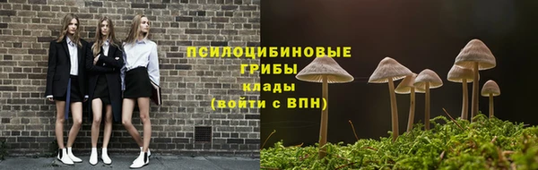 jwh Саяногорск
