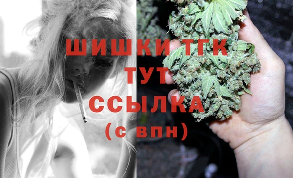 spice Сатка