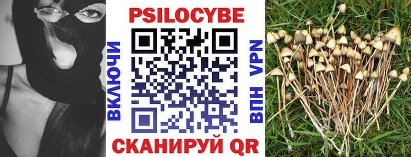 Галлюциногенные грибы мухоморы Инта